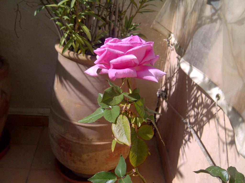 Riad Irene Marrakesch Exterior foto
